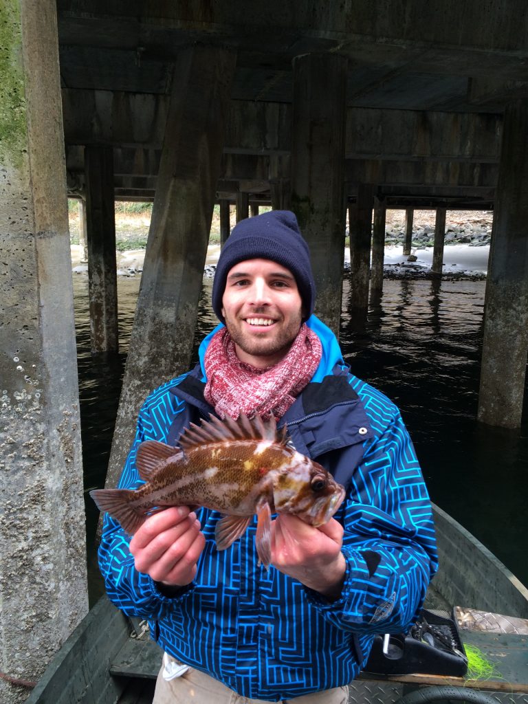 Species 73 — Copper Rockfish CaughtOvgard