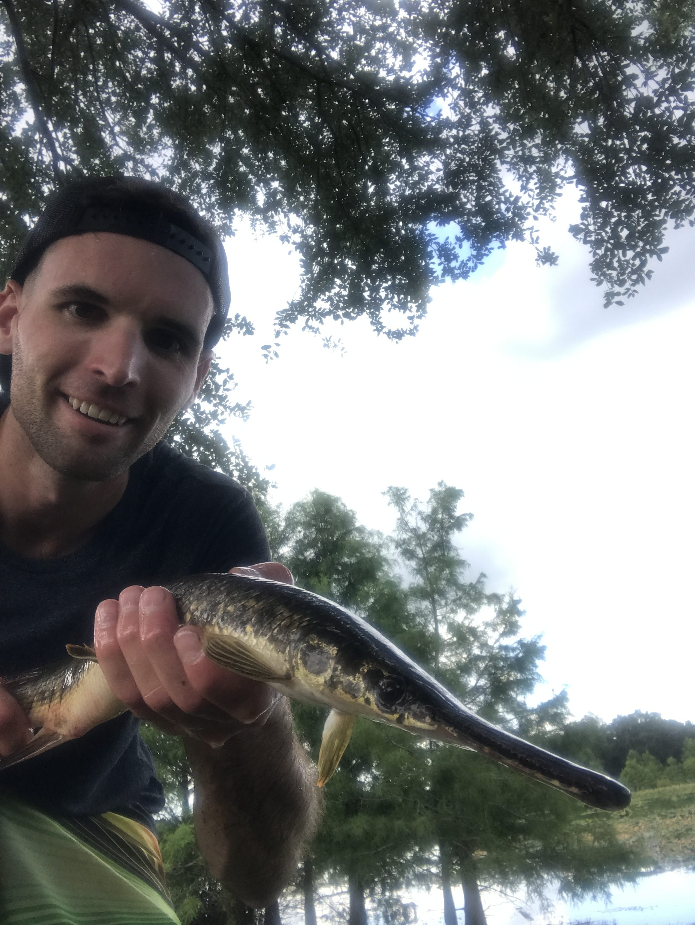 florida gar planet fishing